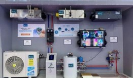 新恋情爆料特效视频大全,新恋情曝光！特效视频大全带你领略甜蜜瞬间