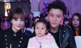 爆料贾乃亮恋情视频全集,甜蜜互动引热议，揭秘全新恋情细节